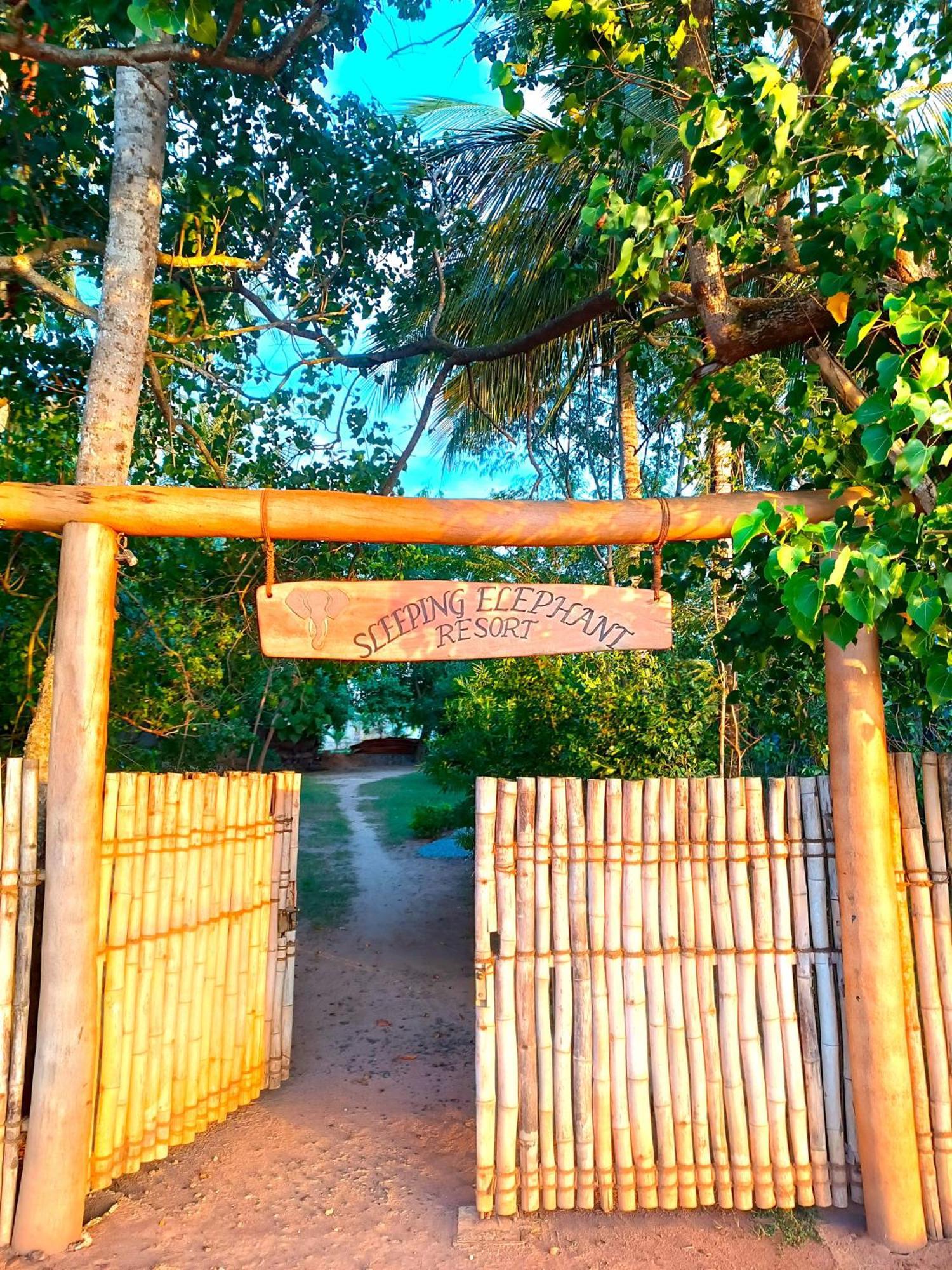 Sleeping Elephant Beach Resort Tangalle Extérieur photo